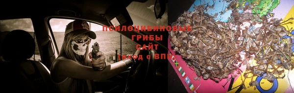 амф Бутурлиновка