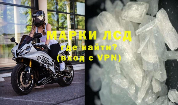 прущие грибы Новокубанск