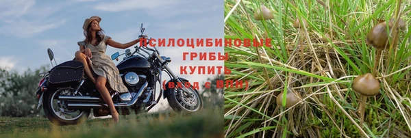 стафф Нязепетровск